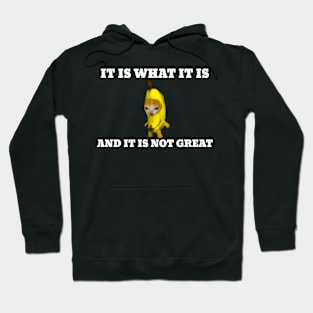 It Is What It Is And It Is Not Great Banana Cat Meme Hoodie